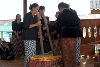 Keunikan Suku Samin Mempertahankan Budaya Leluhur 