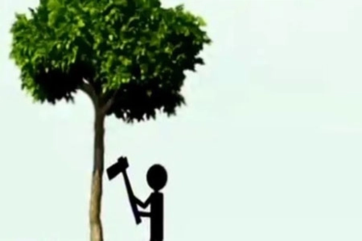 Pemko Terbitkan Surat Edaran Larang Warga Tebang Pohon Sembarangan