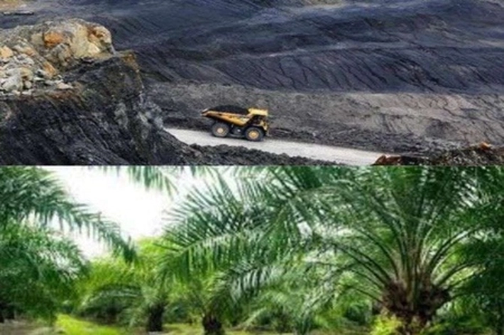 Pemerintah akan Kelola Langsung 28 Perusahaan Tambang dan Sawit yang Izinnya Dicabut