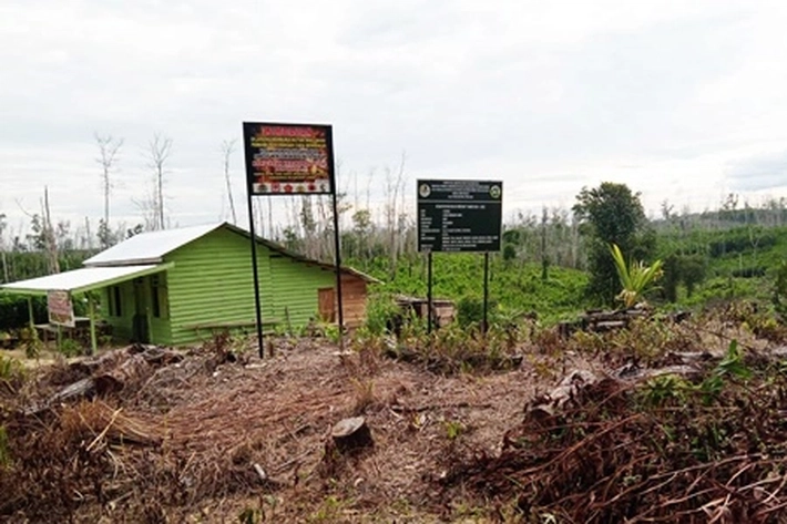 Polda Riau Tahan 9 Orang karena Rusak Fasilitas dan Perdagangkan Lahan di TNTN yang Diamankan Satgas PKH