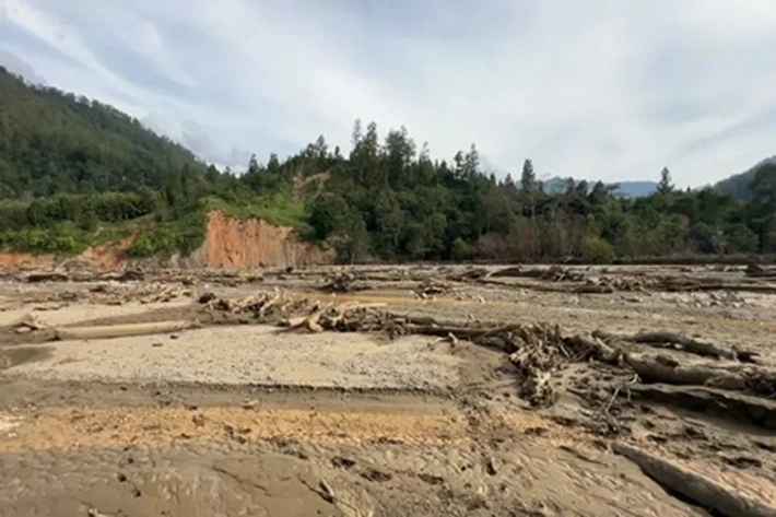 Nasib Petani Setelah Dua Bulan Usai Bencana Sumatera tak Bisa Olah Ribuan Hektare Sawah karena Masih Digenangi Lumpur