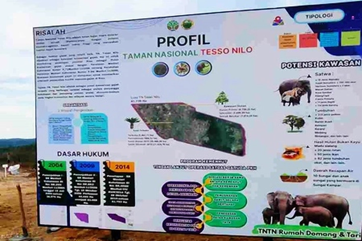 Pemprov Bersinergi dengan Berbagai Pihak untuk Selesaikan Tata Kelola Kawasan TNTN