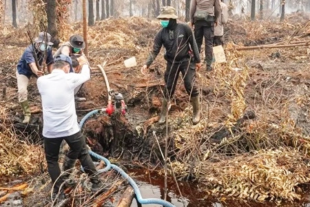  Karhutla Kembali Melanda Pesisir Riau, Manggala Agni Perkuat Patroli pada Lokasi Wilayah yang Rawan