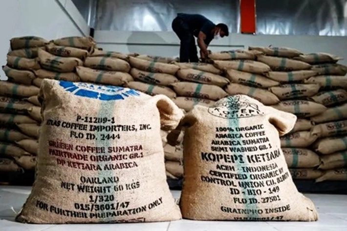 Petani Kopi di Aceh Bertahan Hidup Usai Kebunnya Rusak Dihantam Bencana Sumatra, 'untuk Pasar Nasional dan Internasional Pupus Sudah'