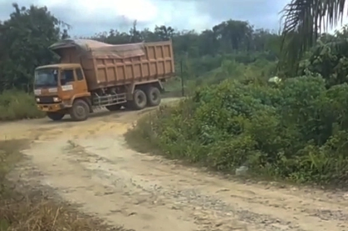 PT AKM Beroperasi dalam Kawasan Hutan, SALAMBA: 'Diduga Akibat adanya Legalisasi Perubahan Fungsi'