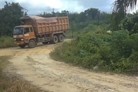 PT AKM Beroperasi dalam Kawasan Hutan, SALAMBA: 'Diduga Akibat adanya Legalisasi Perubahan Fungsi'