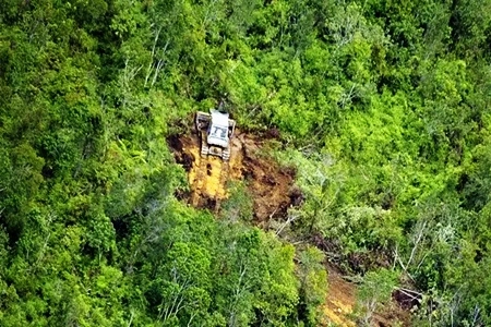 Tanah Terlantar Bakal Diambil Negara, INPEST: 'Tidak Mudah Dijalankan karena Banyak Persoalan Teknis dan Hukum'