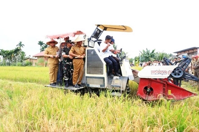 Produksi Padi Riau Naik 12,7 Persen Buat Ketahanan Pangan Jad Menguat