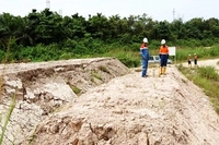 PHR Pulihkan Fungsi Tanah di Bumi Riau Ditengah Barisan Batang Sawit