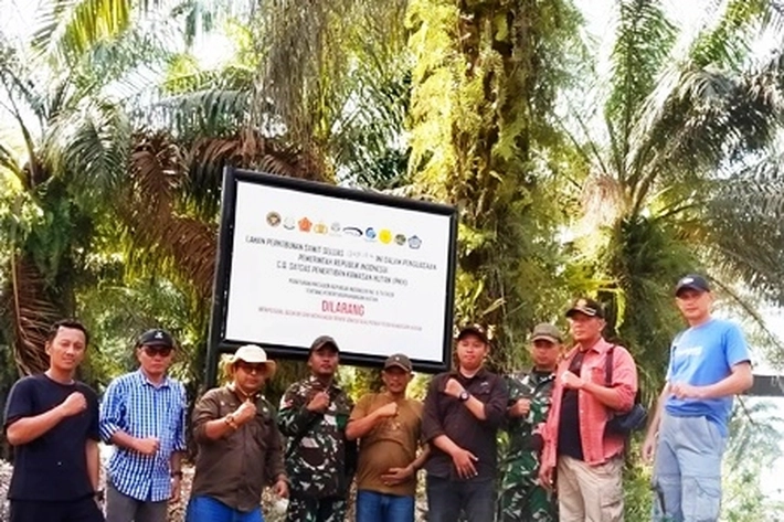 Satgas PKH Segel Lahan Perkebunan Sawit Seluas 13.491 Ha di Kampar