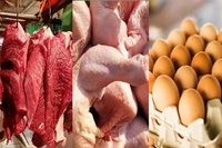 Harga Telur Ayam dan Daging Sapi di Pekanbaru Kompak Naik di Ramadhan 1447 Hijriyah