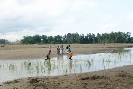 Nasib Petani Dua Bulan Usai Bencana Sumatra, 'Menyisakan Ribuan Hektare Sawah Masih Lautan Lumpur'