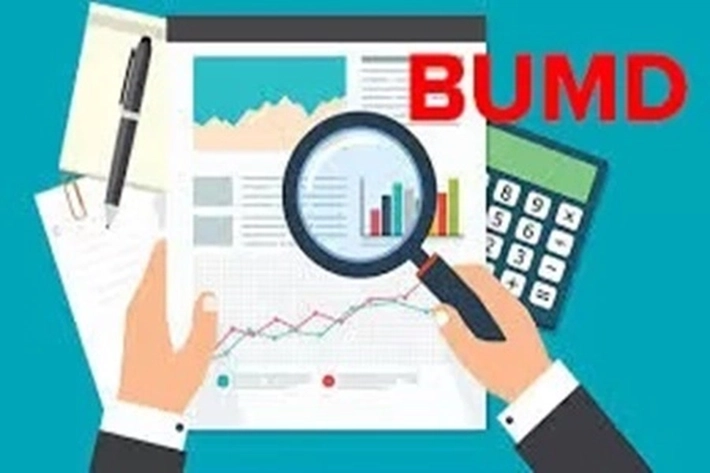 Pemprov Riau akan Lakukan Seleksi Calon Direksi pada 4 BUMD