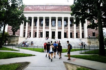 Mahasiswa RI di LN Frustrasi Dengar Kondisi Negara, 'karena Banjir, Penebangan Pohon dan Ekonomi Seret Turus Melilit Berulang-ulang Masyarakatnya'
