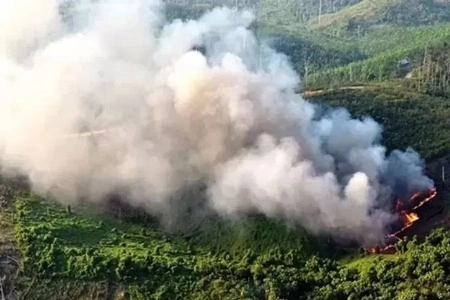 Pemprov Riau Libatkan Kemenko Polkam untuk Atasi Karhutla yang Sudah Terdeteksi 102 Hotspot di Sumatera