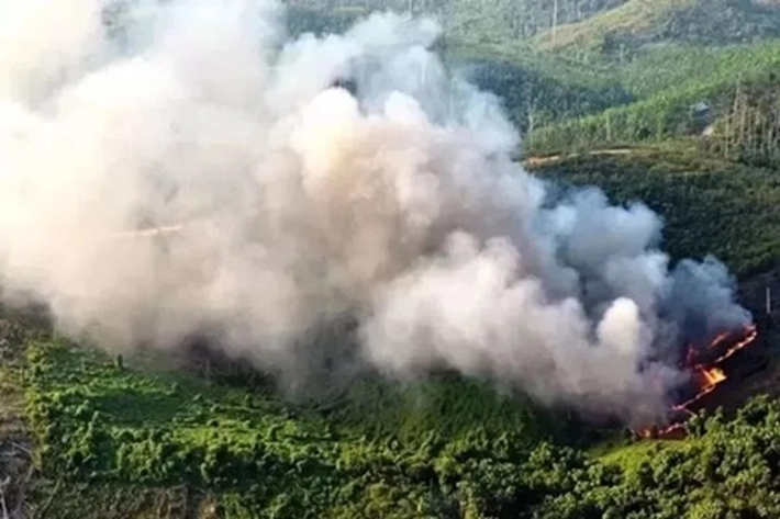 Pemprov Riau Libatkan Kemenko Polkam untuk Atasi Karhutla yang Sudah Terdeteksi 102 Hotspot di Sumatera