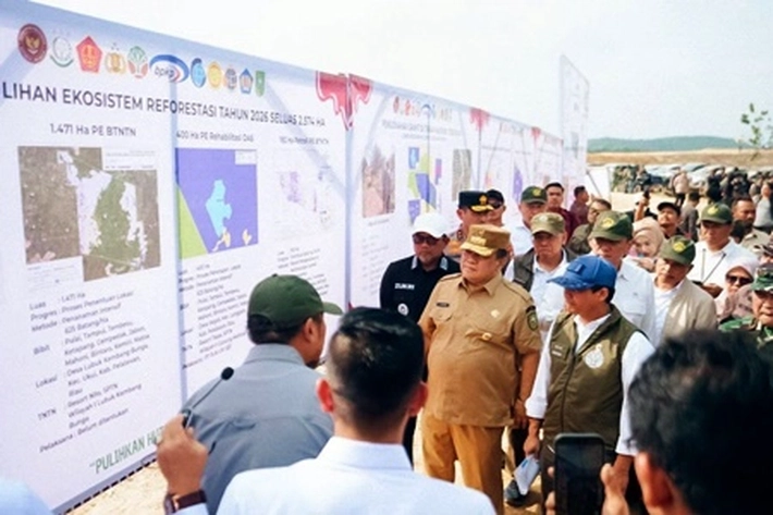 Reforestasi Tesso Nilo Dikebut untuk Dipulihkan Jadi 66 Ribu Hektare Hingga 2028