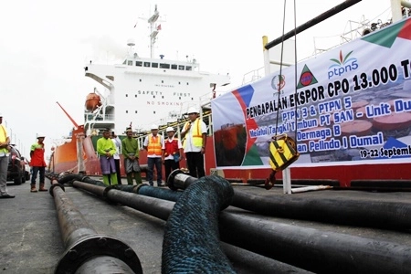 Peluang Peningkatan Ekspor Minyak Sawit Indonesia ke AS Tembus 3 Juta Ton, 'Jika Dilakukan Tarif Nol Persen'