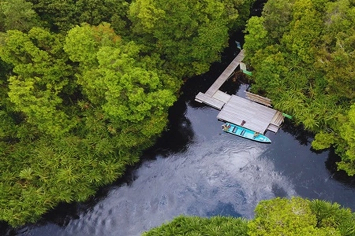 Pemerintah Tegaskan Komitmen Lindungi Hutan dari Karhutla 