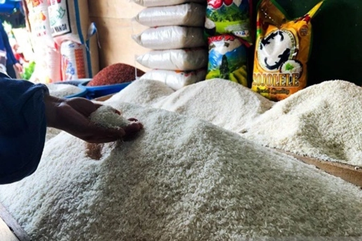 Impor Produk Indonesia Dinilai Justru Lemah karena Dikenai Tarif 19% oleh AS 