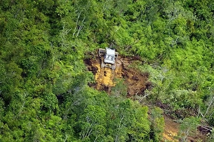 Tanah Terlantar Baik Hak Guna Bangunan, Guna Usaha dan Pengelolaan Bisa Disita karena Negara Punya Kekuatan PP 48 Tahun 2025