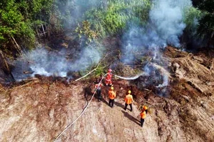 Dewan Ingatkan Penanganan Karhutla Tetap Siaga Hingga Idul Fitri, 'karena Sudah Menyala-Membara di Wilayah Rawan'