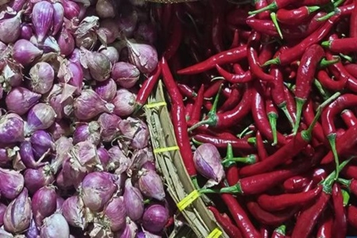 Riau Gandeng 3 Koperasi Amankan Pasokan Cabai dan Bawang untuk Perkuat Ketahanan Pangan di HBKN