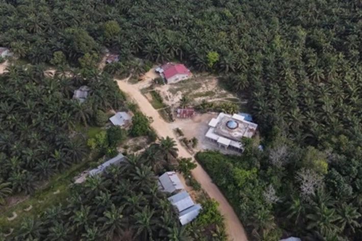 Relokasi Warga Tesso Nilo Terus Munculkan Masalah Baru, 'Ada Wacana ke Areal Eks PT RSU yang Izinnya Sudah Dicabut Sejak 2018'