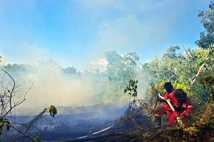  Ratusan Hotspot Menggila di Riau, BNPB: Sudah Tembus 2.713 Hektare Lahan Terbakar