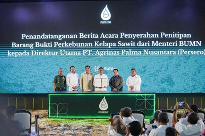 Danantara Rombak Total Direksi PT Agrinas Palma Nusantara di Sektor Kelapa Sawit Indonesia