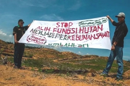 Deforestasi Meningkat yang 'Dipicu Konsesi Tambang, Sawit Hingga Food Estate'