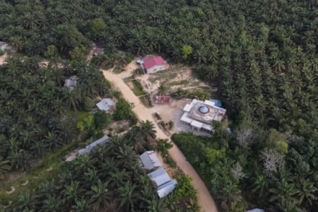 Relokasi Warga TNTN Segera Selesai, DPRD Riau: 'Tapi Tetap Saja Wewenang Pemerintah Pusat untuk Mengusir Korporasi RSU-AA'