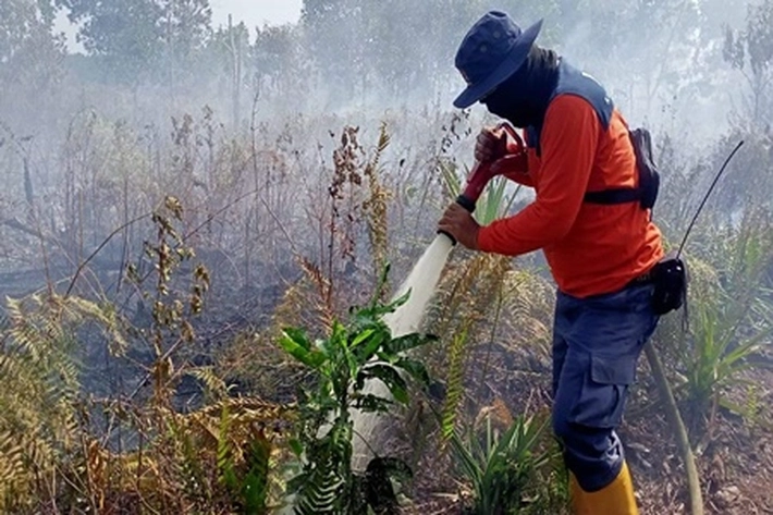 Strategi Penanganan Karhutla di Riau Terus Diperkuat Lewat Operasi Terpadu Darat dan Udara