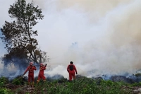 Bengkalis Terbanyak Sumbang Titik Panas yang Terdeteksi 91 Hotspot