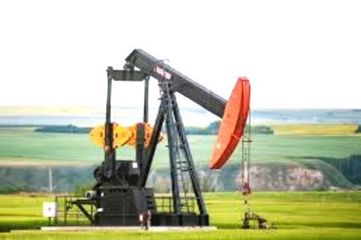 Panitia Seleksi Umumkan 13 Nama Calon Direksi Riau Petroleum yang Bersaing Ketat