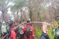 Pelaku yang Sudah Hanguskan 500 Hektare Lahan Terbakar Ditangkap