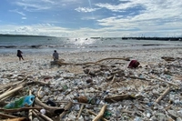 Bahaya Mikroplastik Bukan Lagi Sekadar di Permukaan Daratan, Tapi Sudah Mengancam Biota di dalam Laut 