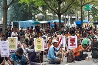 Ribuan Kepala Keluaga Masih Bertahan di TNTN yang Belum dapat di Relokasi Pemprov Riau 