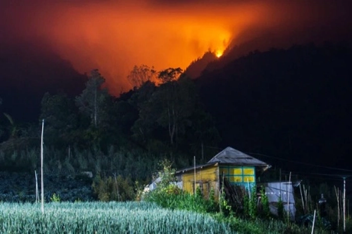 Selama Januari-Maret 2026 Kebakaran Hutan dan Lahan Sudah Hanguskan 8.555 Hektare 