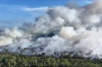 Kebakaran Hutan dan Lahan Makin Meluas di Riau Buat Penanggulangan Perlu Dipercepat