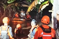 Basarnas Lakukan Operasi Penyelamatan Dramatis di Permukiman Rumbai Timur yang Terendam