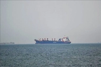 Indonesia-Singapura Berseberangan Soal Wacana Tarif Pungutan Kapal di Selat Malaka