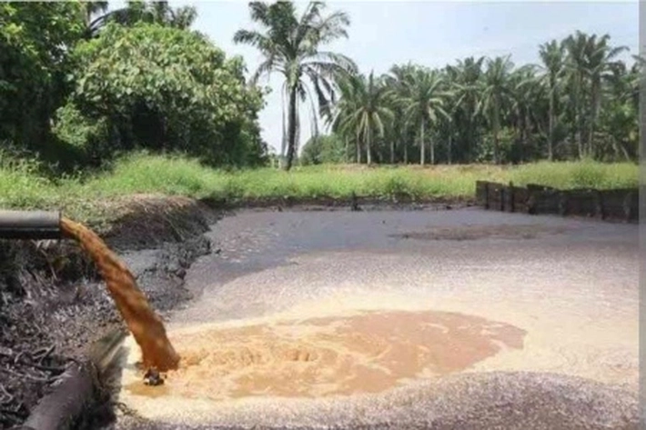 Pemerintah Berencana Menetapkan Baku Mutu Limbah Cair Hingga BOD Pabrik Kelapa Sawit di Bawah 100 mg/l