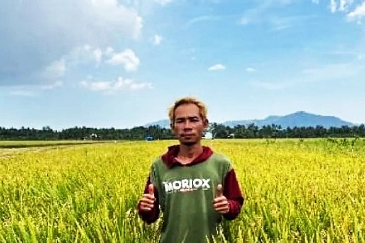 Petani Muda Berhasil Panen 9,6 Ton per Hektare yang Buktikan Ketekunan di Sawah