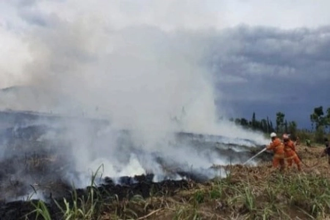 Banjir dan Karhutla di El Nino Semakin Kompleks yang Terus Mengancam Sepanjang Tahun 2026
