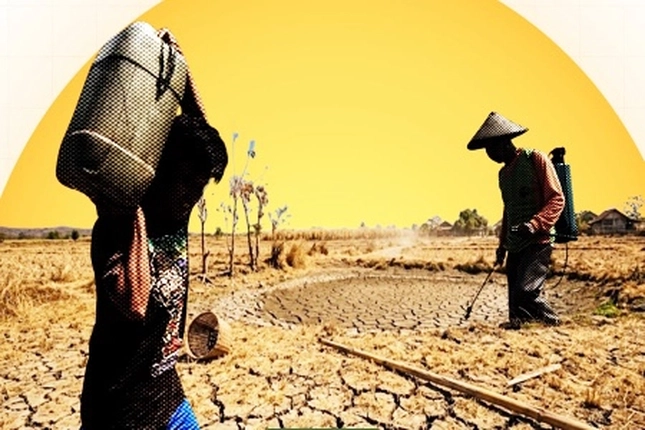 Super El Nino Mengancam Riau yang Bisa Timbulkan Kemarau Panjang Hingga Kepelosok Desa