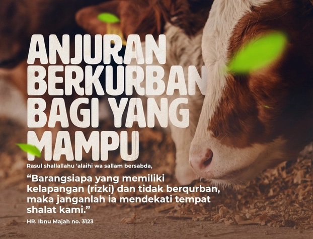 Berkurban Dianjurkan Dalam Islam, Tapi Bagi yang Mampu Secara Finansial