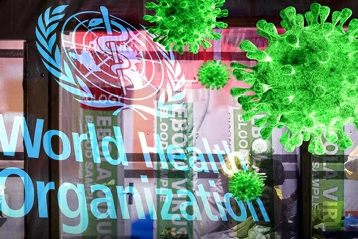 Organisasi Kesehatan Dunia WHO Umumkan Wabah Ebola Sudah Darurat 