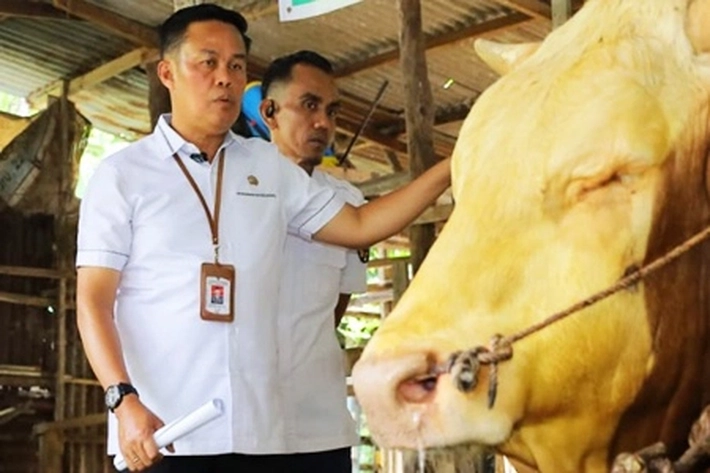 Distankan Perketat Pemeriksaan Hewan Kurban yang Hasilnya 3.514 Sapi Dipastikan Aman