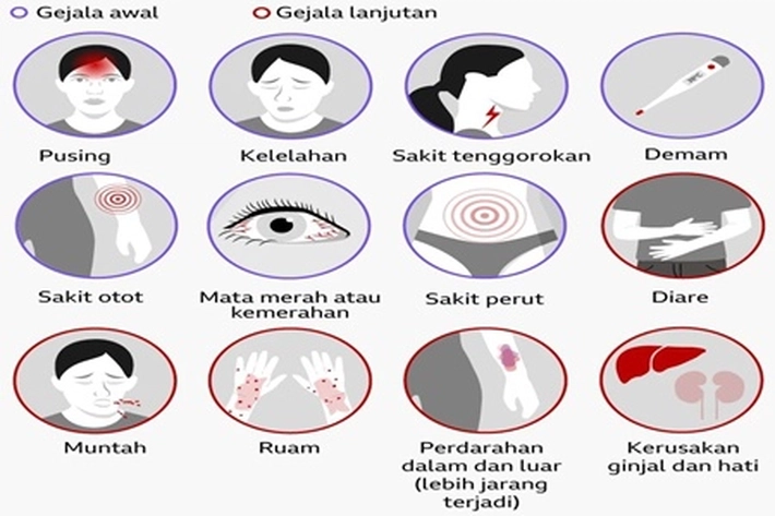 Wabah Ebola Sudah Rengut 131 Orang yang Meninggal Dunia